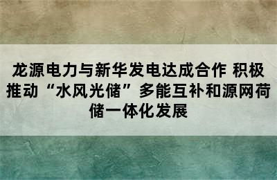 龙源电力与新华发电达成合作 积极推动“水风光储”多能互补和源网荷储一体化发展